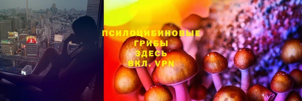 соль ск Гусь-Хрустальный