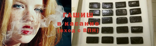 дмт Гусев