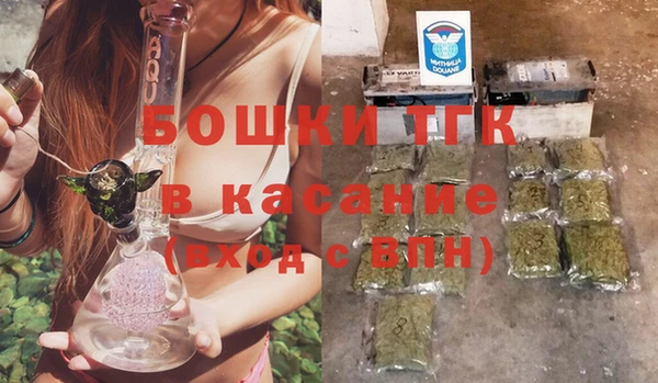 дмт Гусев