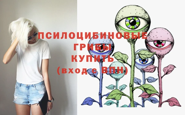 PSILOCYBIN Гусиноозёрск